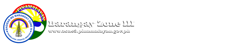 www.zone3.pinamalayan.gov.ph